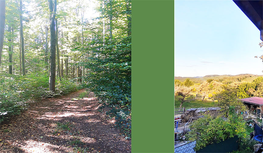 Wienerwald